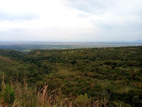 Nord-Kivu : des combats se poursuivent entre les FARDC et le M23 vers le parc des Virunga