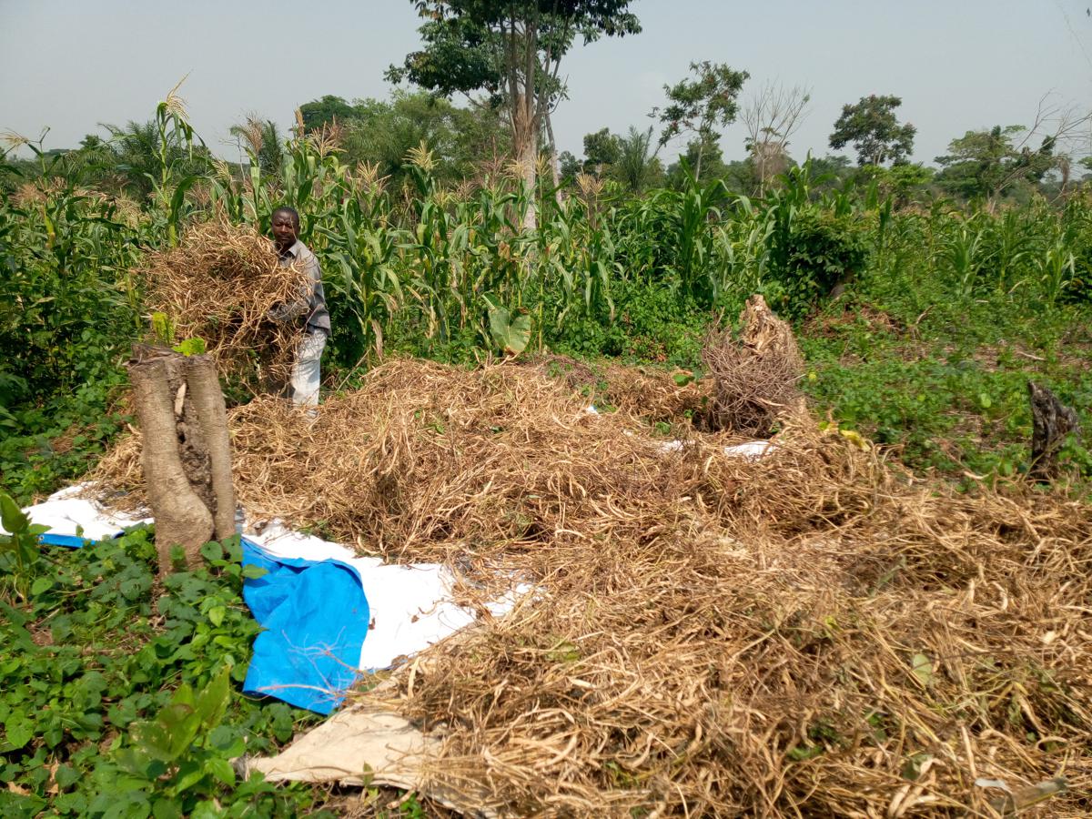 20210309150651244128-Beni82.jpg?imgmax=1200