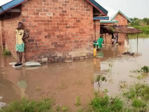 Tshopo : environ 1 500 ménages victimes des inondations à Isangi