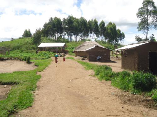 20220124140641806397 Localite Linga dans le territoire de Djugu en Ituri janvier 2022 Radio Okapi Ph Marc Maro Fimbo