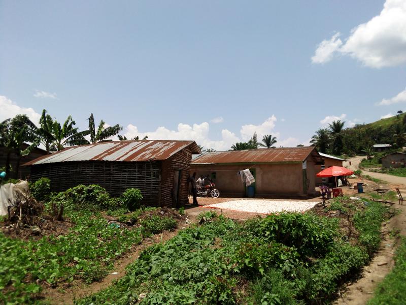 Le village Halungupa dans le territoire de Beni (Nord-Kivu). Photo Blaise Makasi.<br />
Radio Okapi<br />Radio Okapi