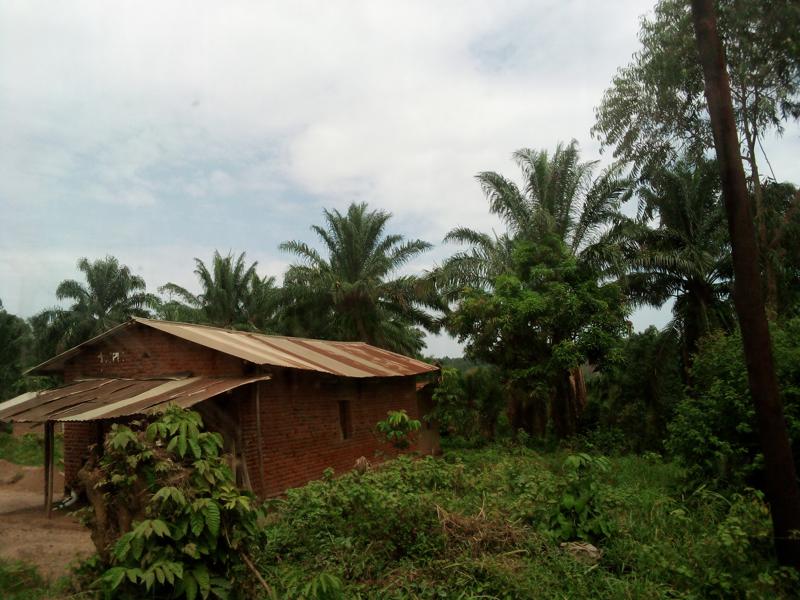 Un village sur la route Beni-Butembo dans le Nord-Kivu. Photo Blaise Makasi. <br />Radio Okapi