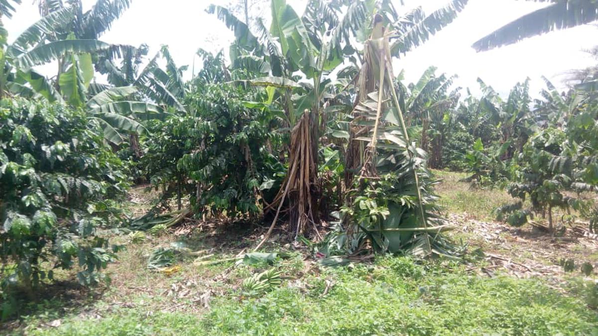 20221013192025176848_IMG-20221013-WA0051.jpg?imgmax=1200