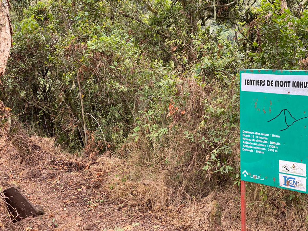 Les sentiers du Mont Kahuzi, le plus haut sommet du Parc national de Kahuzi Biega (3 308 m d’altitude). Dimanche 20 aout 2023<br />Radio Okapi/Ph. Rachel Kiese