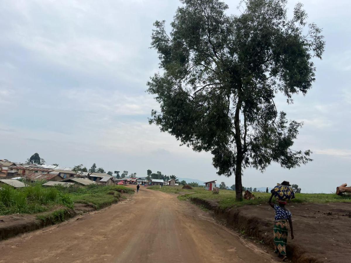 entrée du centre commercial de Aveba dans la chefferie des Walendu Bindi. Ituri, Août 2024<br />Radio Okapi/Ph. Marc Maro Fimbo 20240813175044737897_WhatsApp_Image_2024-08-05_at_07.51.51.jpeg?imgmax=1200