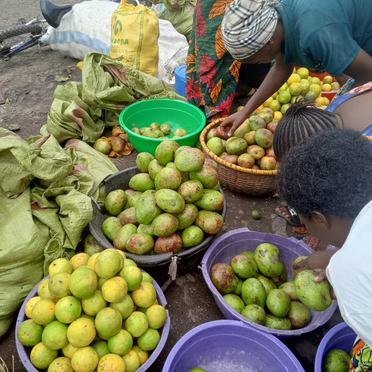 Des fruits en vente à même le sol au marché Kahembe de Goma (Nord-Kivu). Vendredi 22 novembre 2024<br />Radio Okapi/Ph. Denise Lukesso