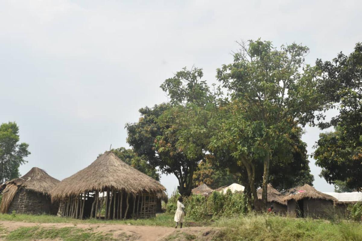 Une vue des sites de déplacés au quartier Bembey à Bunia. Ituri, janvier 2025 <br />Radio Okapi/Ph. Marc Maro Fimbo