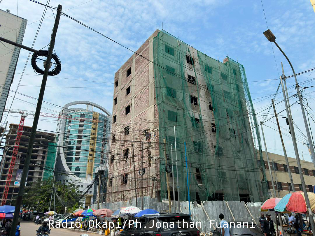 Real estate expansion reduces green spaces and increases environmental risks in Kinshasa (expert)