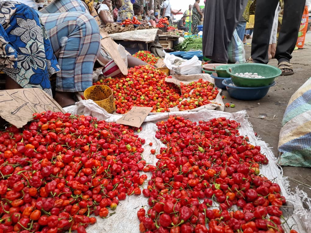 Les vendeuses du marché Mvuadu réclament un espace adapté pour leur activité à Matadi