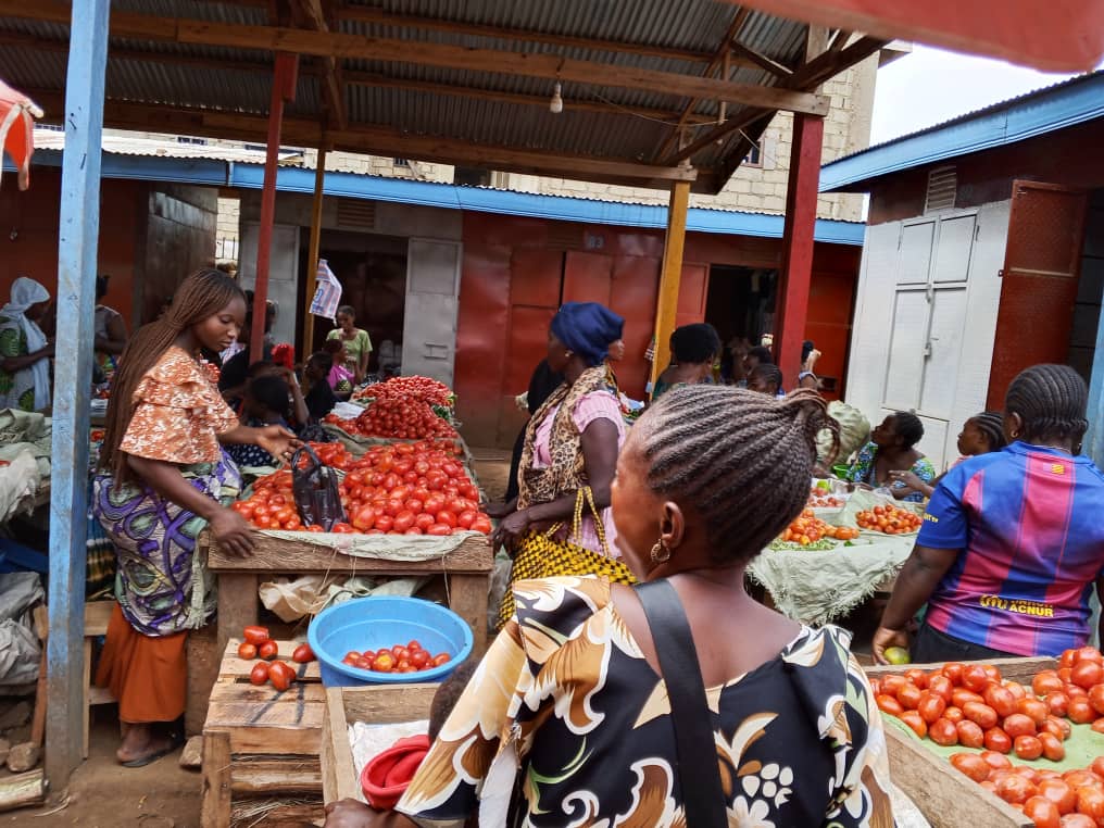 Flambée des prix des produits vivriers sur le marché de Beni
