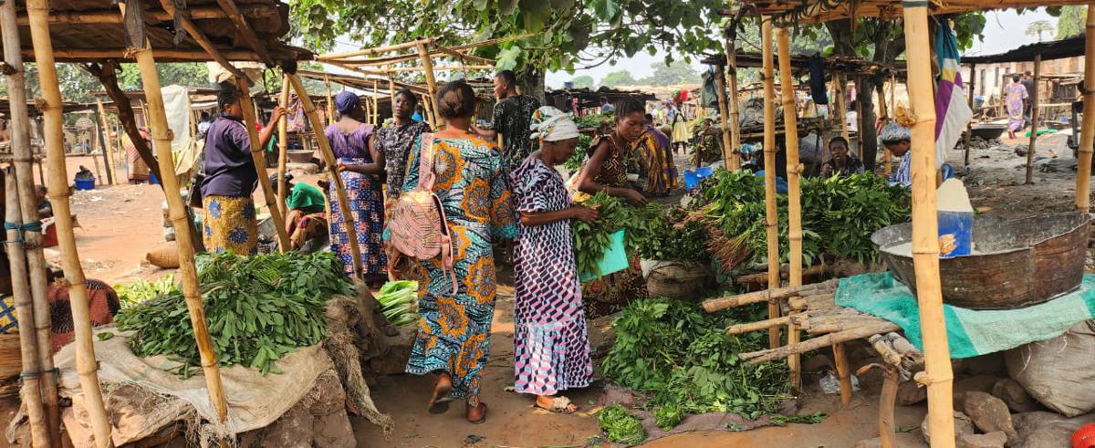 Les étals de vente des légumes au marché Congo dans la commune de Diulu, à Mbuji-Mayi.<br />Radio Okapi/Esther Ndalafina