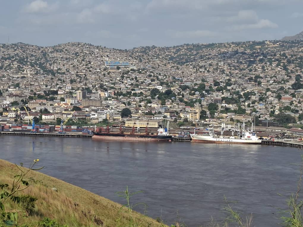 Provincial Veterinary Clinic Threatened by Sale of Plots on Its Kongo-Central Property