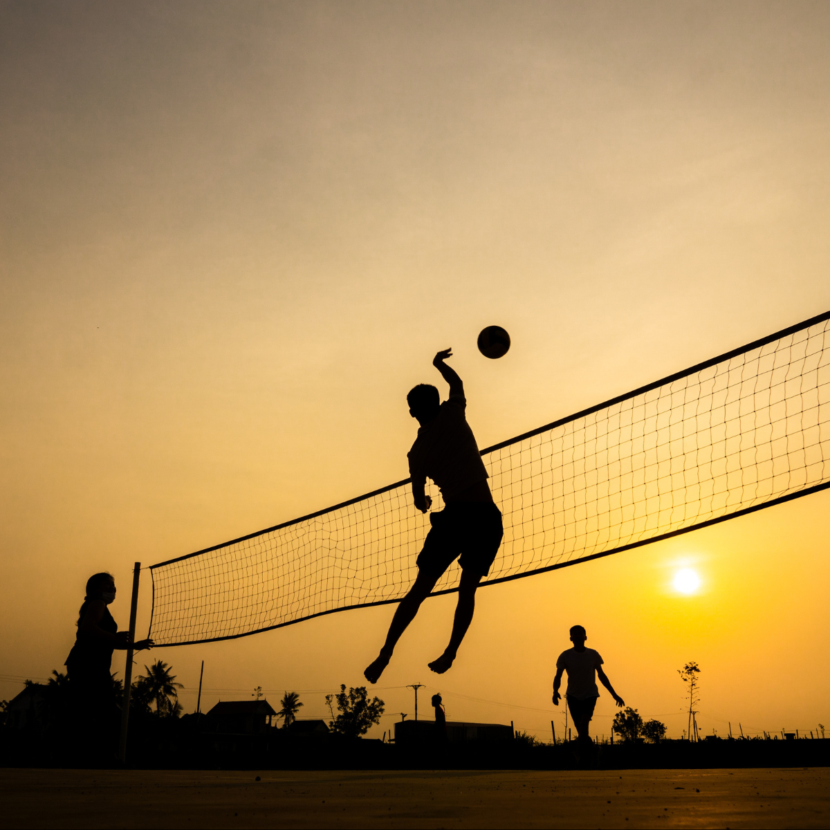 Volleyball<br />Droits tiers