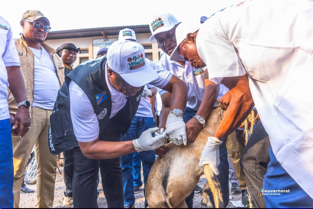 Free Vaccination for Pets, Livestock and Poultry in Mbuji-Mayi